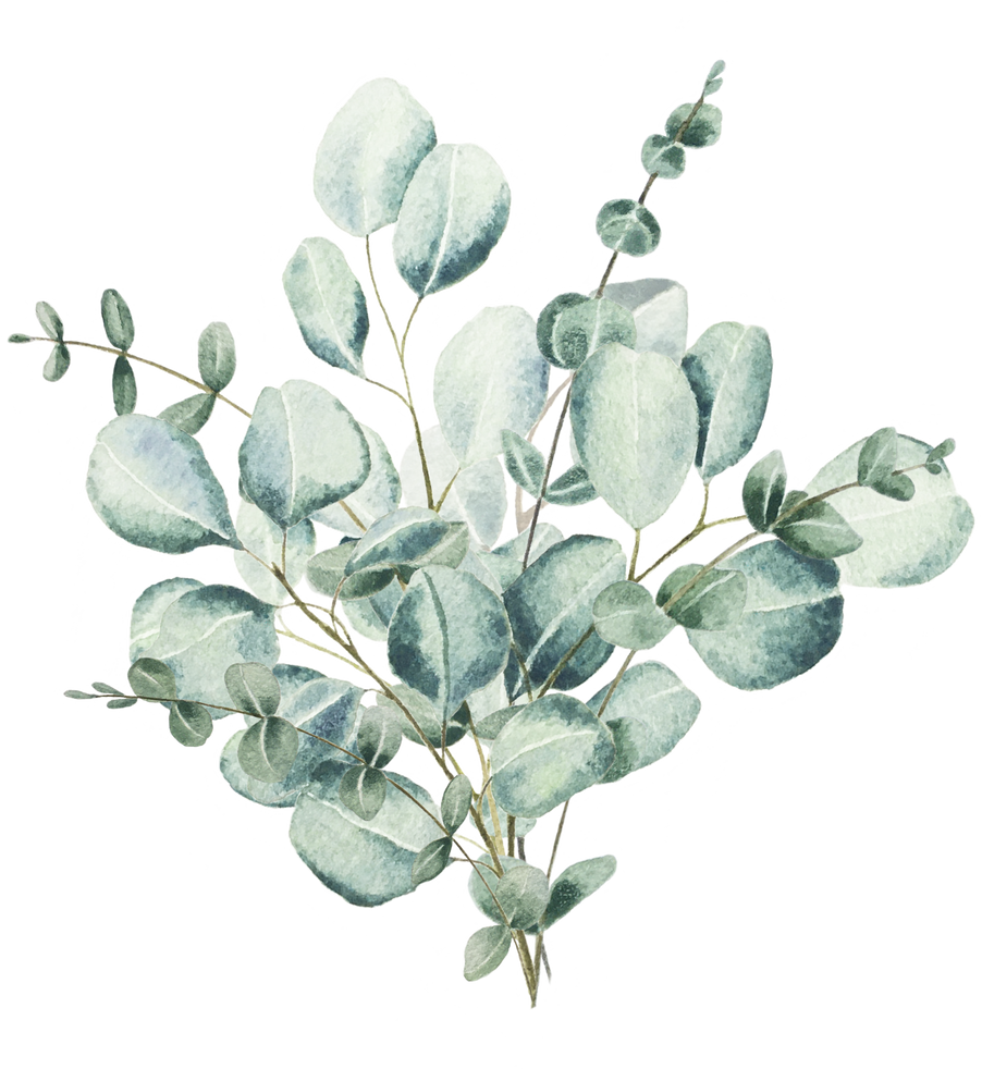 Watercolor greenery  eucalyptus bouquet